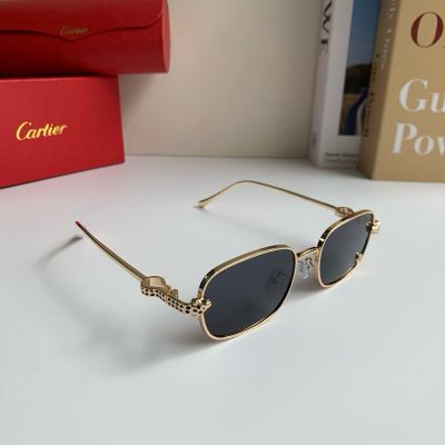 Cartier Black  Unisex Pure Titanium Eyeglasses 